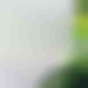 Folie de Protectie pentru Geam si Fereastra, Autocolant Adeziv cu Protectie UV | WINDOWFILM