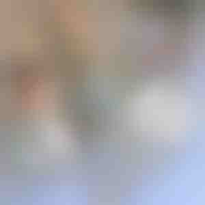 Bandă de reparații pentru plase de țânțari | INSECTAPE