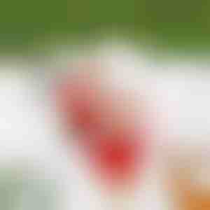 Moș Crăciun care se cațără pe frânghie SANTACLIMB