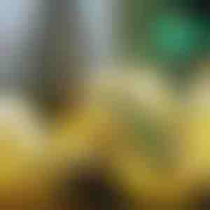 Panglică strălucitoare de Crăciun (500 cm) | SHINESTRAP 1+1 GRATUIT