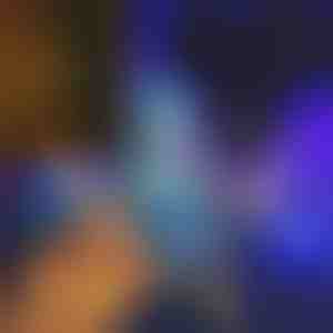 (12x) Lumini decorative pentru exterior | STARRYSKY