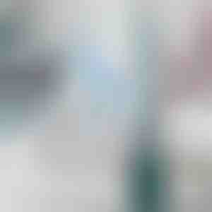 Perie de toaletă cu distribuitor de soluție de curățare încorporat | FLUSHBRUSH