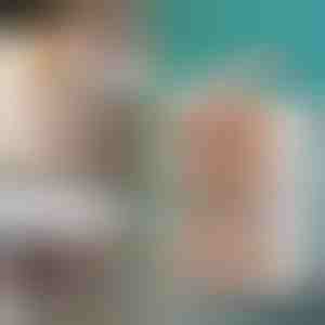 Cutie de depozitare cu capac | ORGABOX