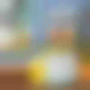 Storcător de fructe | VITAPRESS