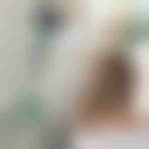 Suport reglabil pentru uscător de păr | FENLUSK