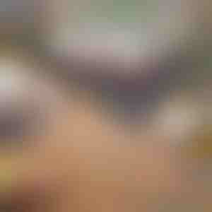 Grătar portabil pliabil | GRILLOMATE