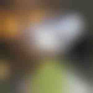 Lampă solară tip cameră cu senzor de mișcare | LUMACAM