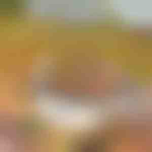 Grătar portabil | GRILLSTER