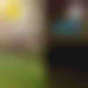 Lămpi solare tropicale pentru grădină | LUMIPALM