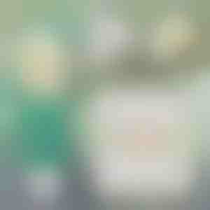 Soluție instantanee pentru repararea pereților | WALLFIX