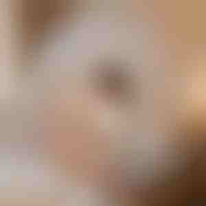 Cort pentru somn împotriva țânțarilor care te protejează | BUGISTOP