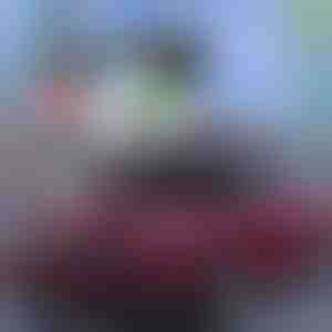 Husă inteligentă pentru parbriz | CARCOVER