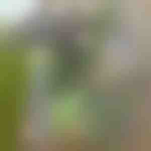 Sapă pentru îndepărtarea simplă a buruienilor | GRASSOE