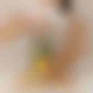 Feliator de ananas care funcționează fără efort | PINECUT