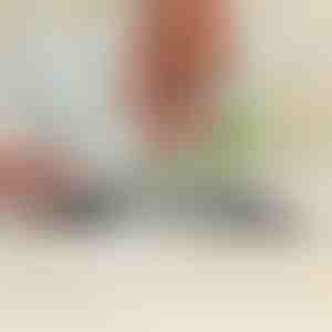 Ascuțitor versatil pentru unelte de grădină și cuțite de bucătărie | SHARPNINJA