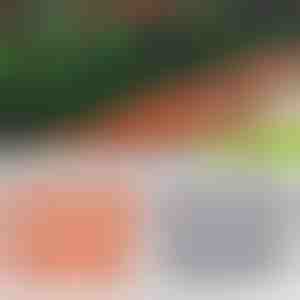 Borduri cu aspect de cărămidă | TERRABARIC