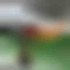 Suflantă rapidă de încălzire a mașinii | TURBOCUP