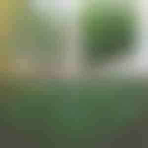 Gard decorativ și practic pentru terasă și grădină | GREENFENCE