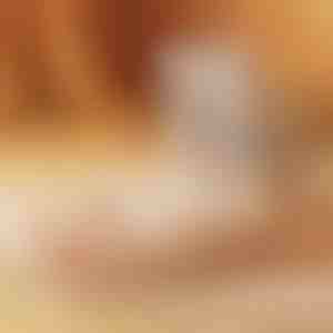 Uscător rapid de încălțăminte | DRYVATUS