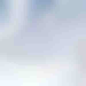 Husă magnetică pentru parbriz împotriva zăpezii | FROSTCOVER