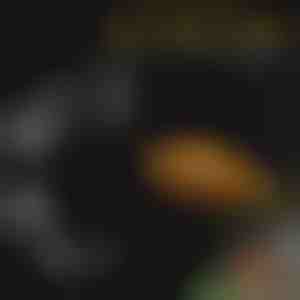 Set tavă de hrănire pentru acvariu | FINTROL