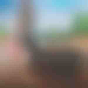 Geantă multifuncțională pentru călătorii | FOLDARA