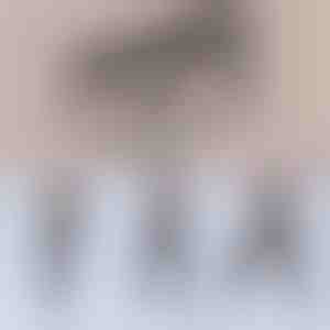 Bară cu 2 corzi pentru pilates | TONEBAR