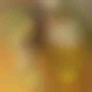 Tablă acrilică cu LED-uri cu 7 markere | LUMOBOARD