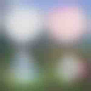 Bula gonflabilă multifuncțională | SLIMEBUB