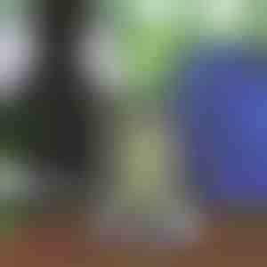 Rucsac unisex cu șnur | STRIPEBACK