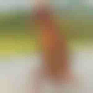 Costum gonflabil în formă de dinozaur | TREXCOS