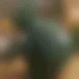 Aparat de masaj cu încălzire pentru shiatsu | MASSORA