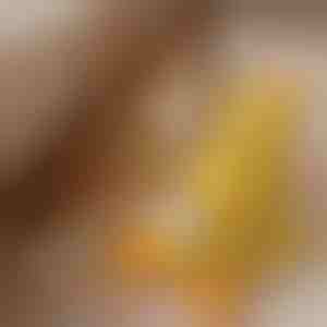 Jucărie de pluș care măcăie ușor | CALMQUA