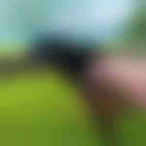 Clește pentru coliere | ZIPFLEX